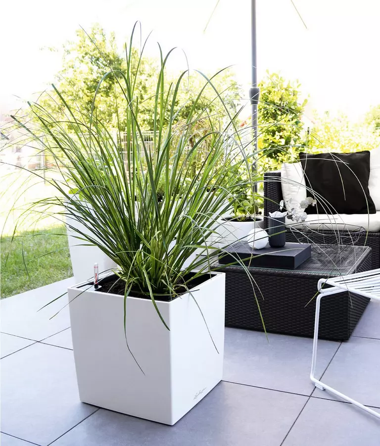 le_tw-black-and-white_cube_intro