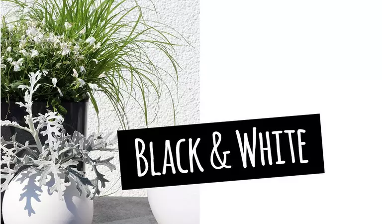 le_tw-black-and-white_cube_intro2