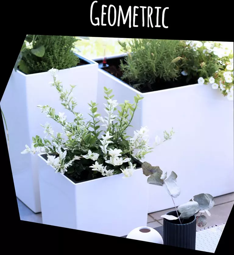 le_tw-black-and-white_geometric1