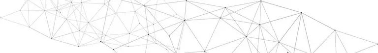 le_tw-black-and-white_polygon1