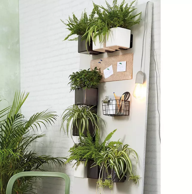 le_tw-homeoffice_green_wall