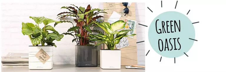 le_tw-homeoffice_oasis_en
