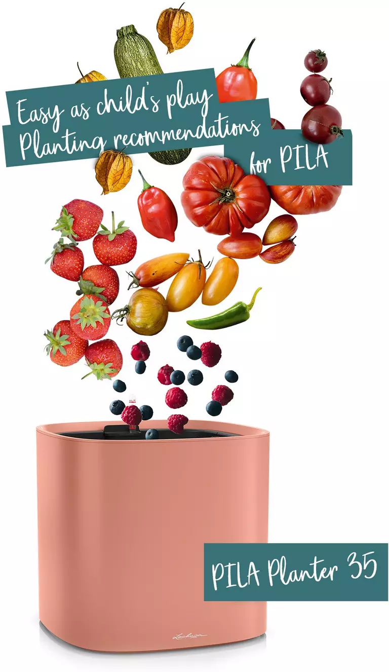 le_tw-pila_planter_en