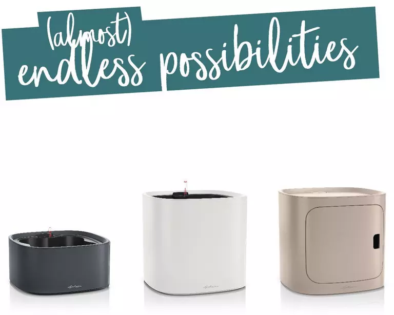 le_tw-pila_possibilities_s_1_en