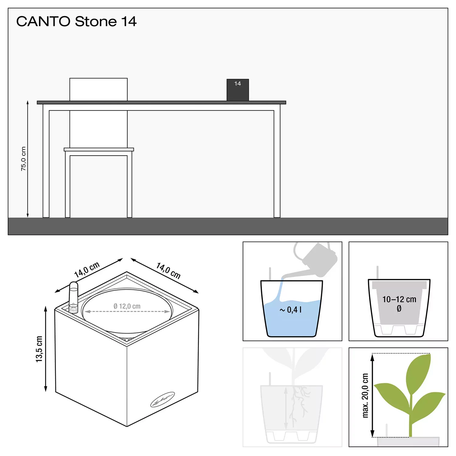 Canto 14 size