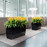 CARARO black high-gloss_3
