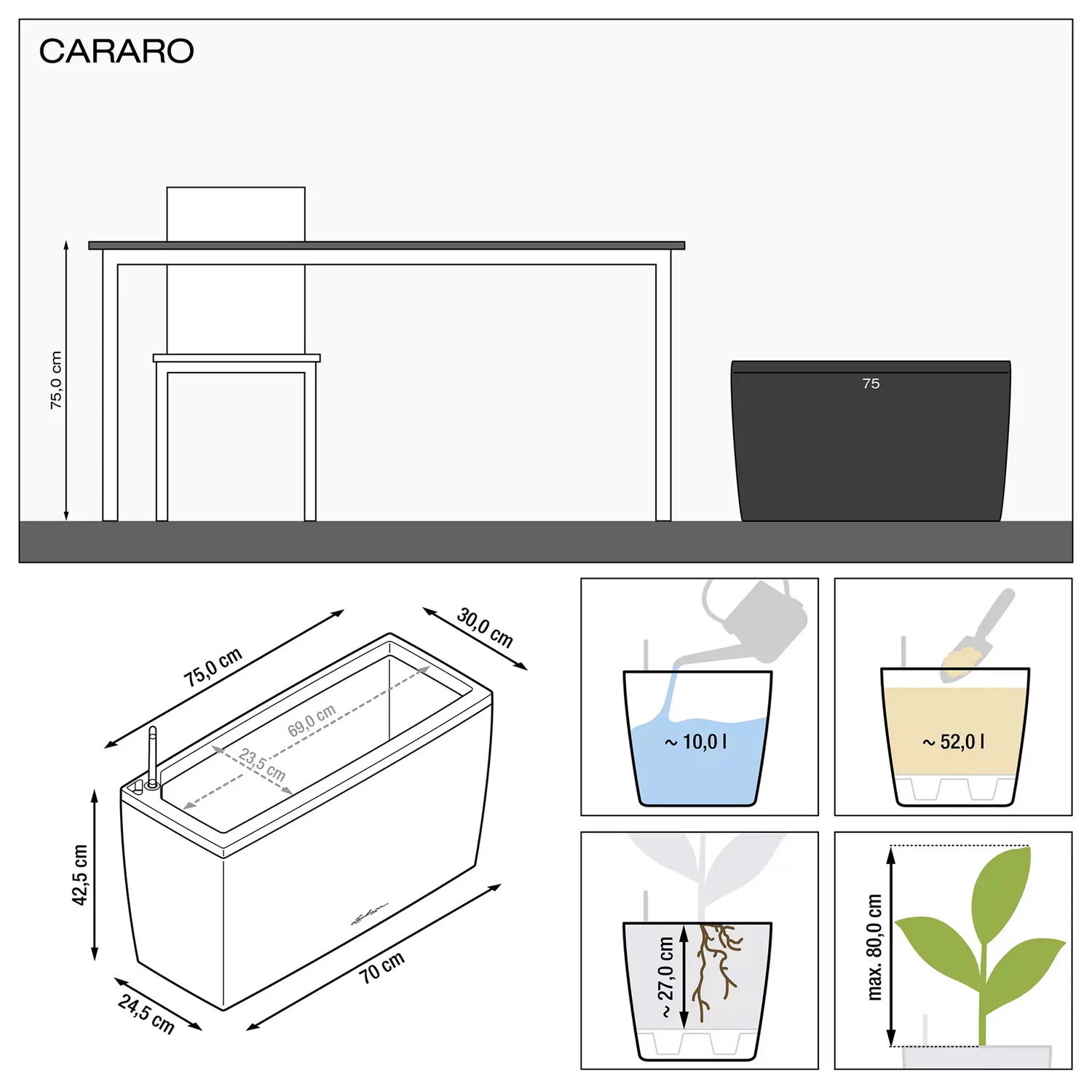 Cararo Size