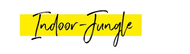 le_tw-feel-for-space_2-indoorjungle