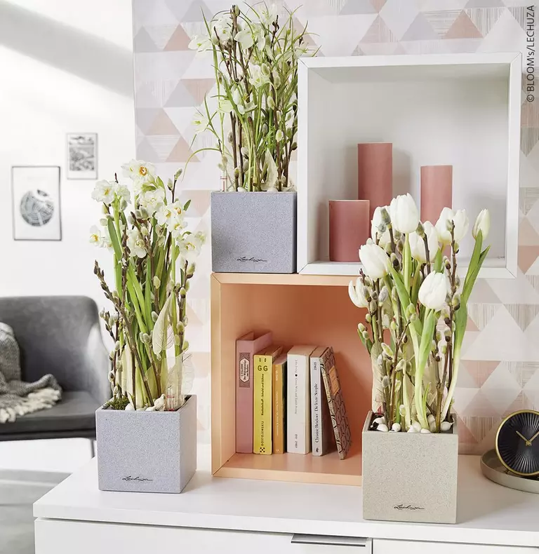 le_tw-spring_canto_stone