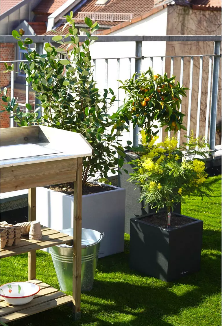 le_tw-urbangardening_canto