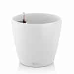 13170_classico_color_21_white.jpg