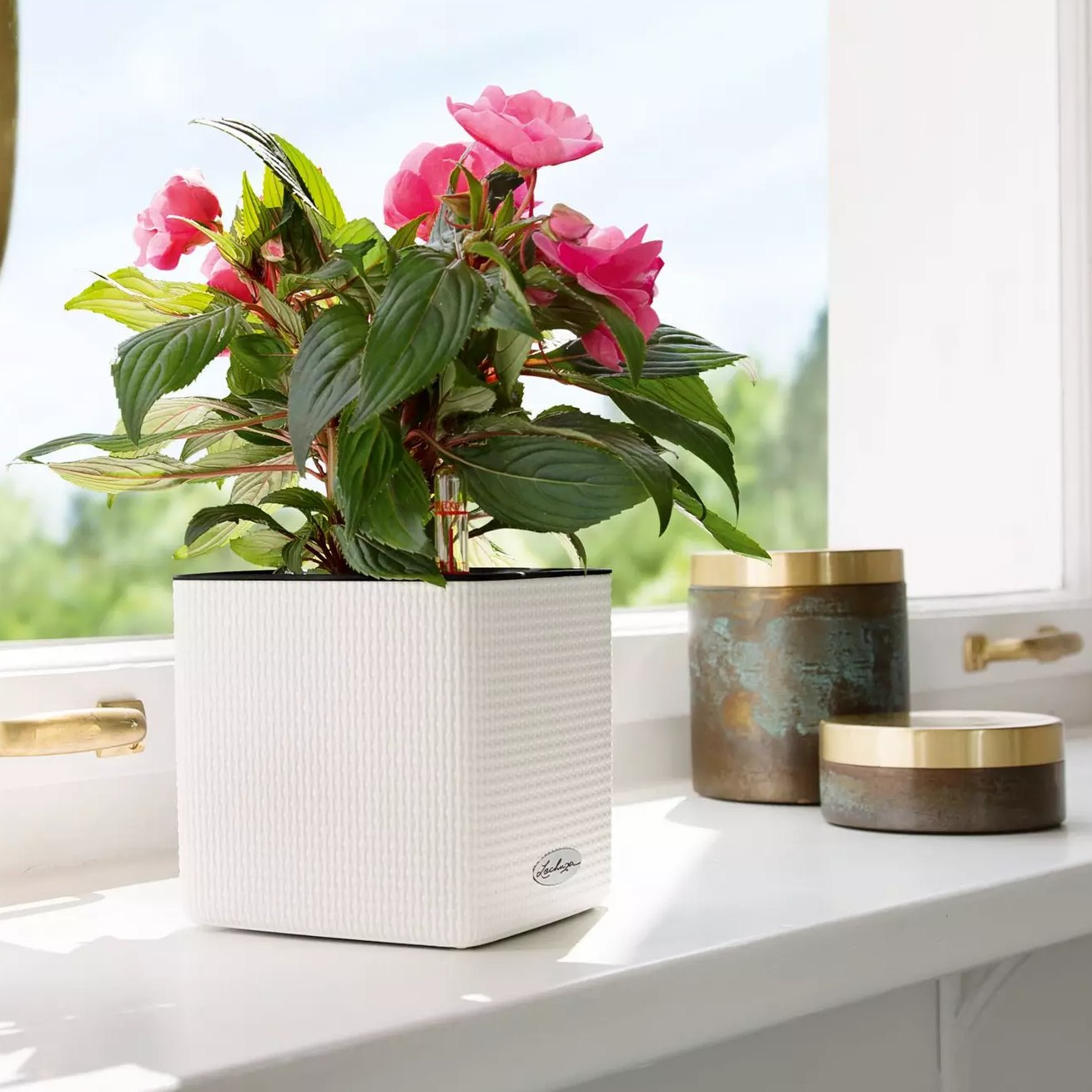 Lechuza Cube Color 14 white
