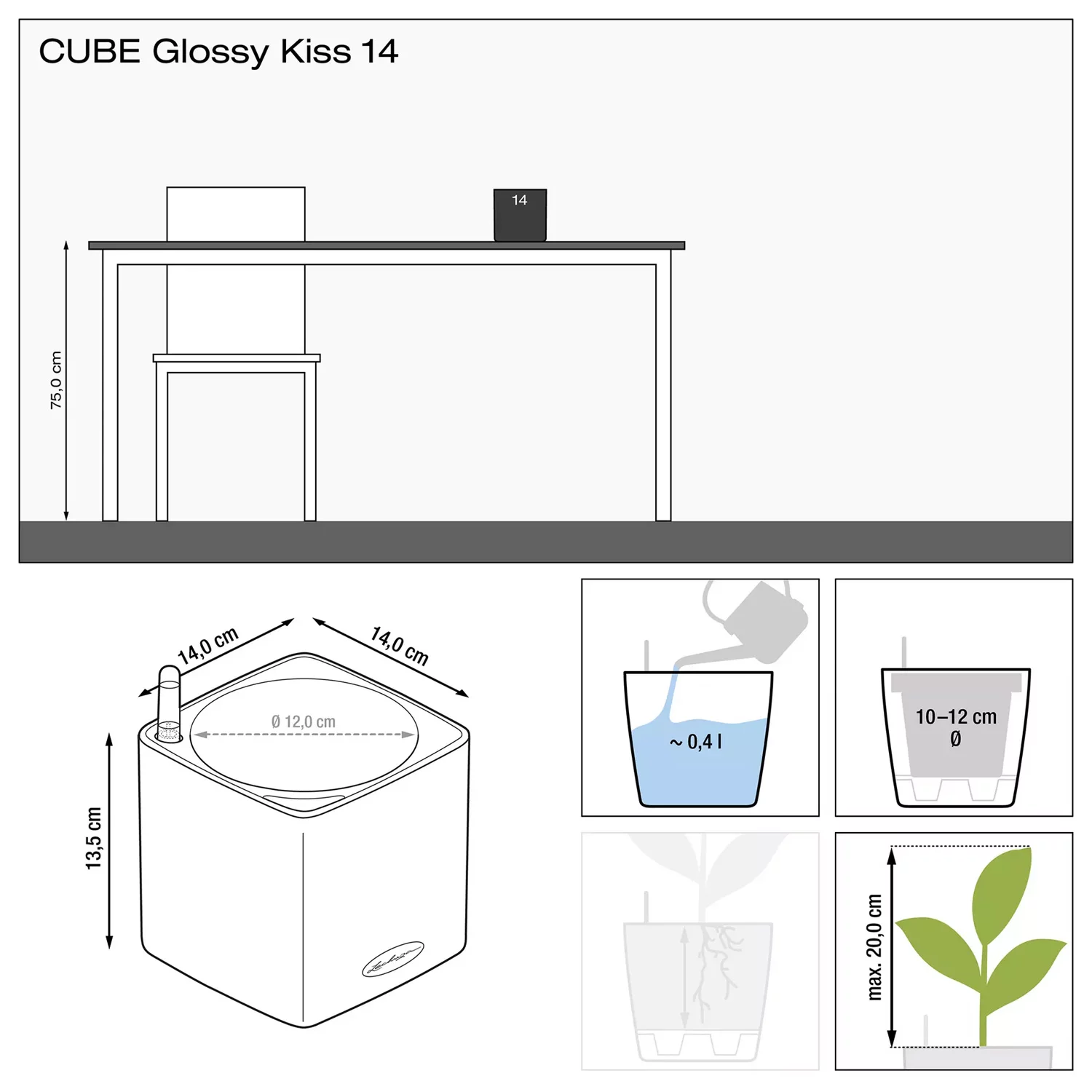 Cube Cat size