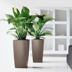 CUBICO 50 white high-gloss_4