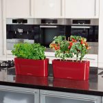 DELTA 20 scarlet red high-gloss_5