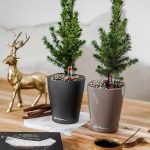 MINI-DELTINI charcoal metallic_2