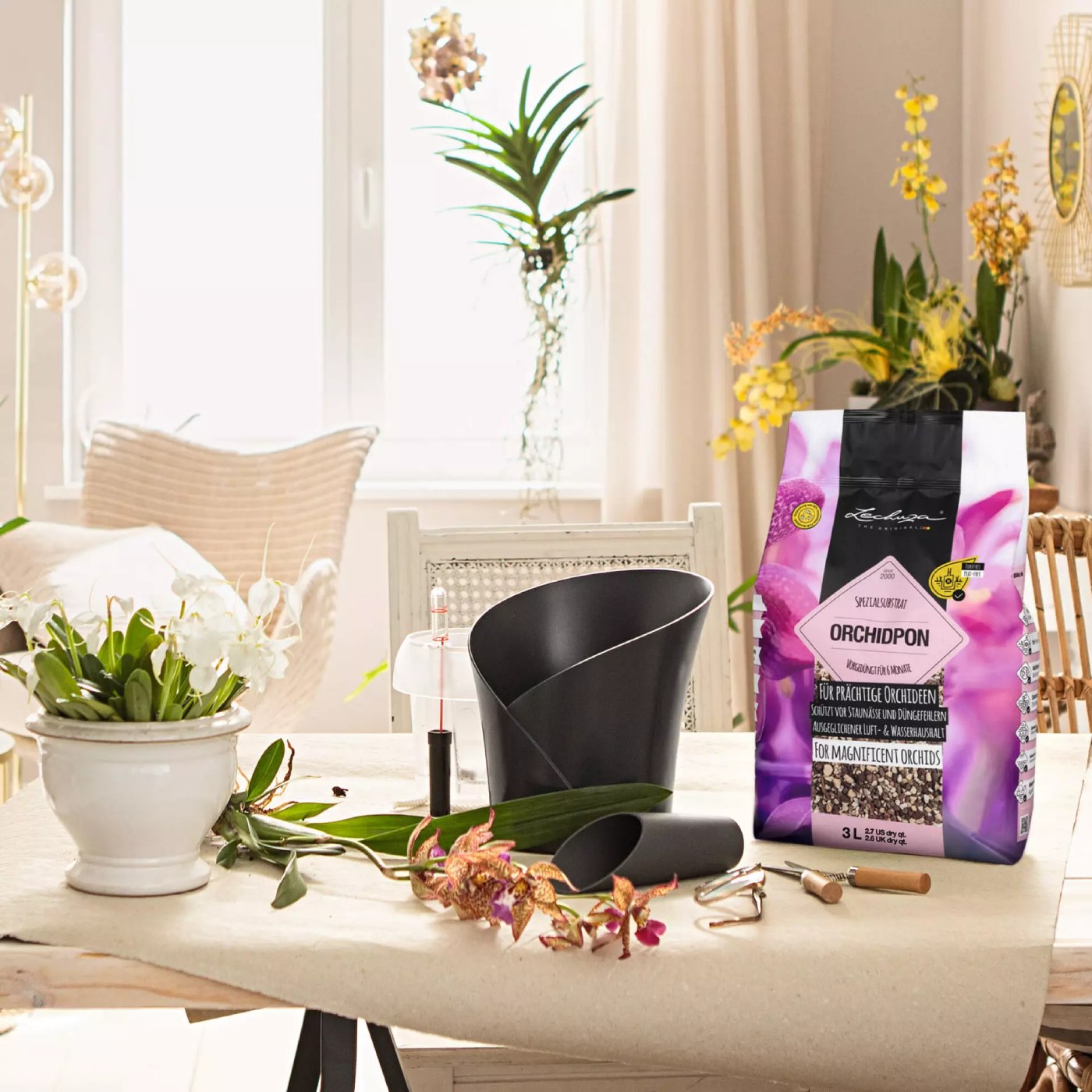 Orchidpon repotting