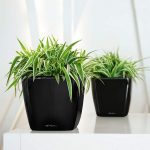 QUADRO LS 21 black high-gloss_3
