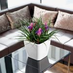 QUADRO LS 21 black high-gloss_5