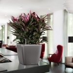 QUADRO LS 28 white high-gloss_5