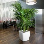 QUADRO LS 43 espresso metallic_4