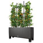 Trellis for TRIO 40 (1)