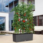 Trellis for TRIO 40 (2)