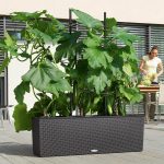 Trellis for TRIO 40 (3)