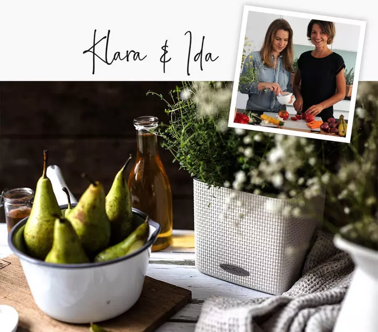 le_tw-herbs_klara_ida