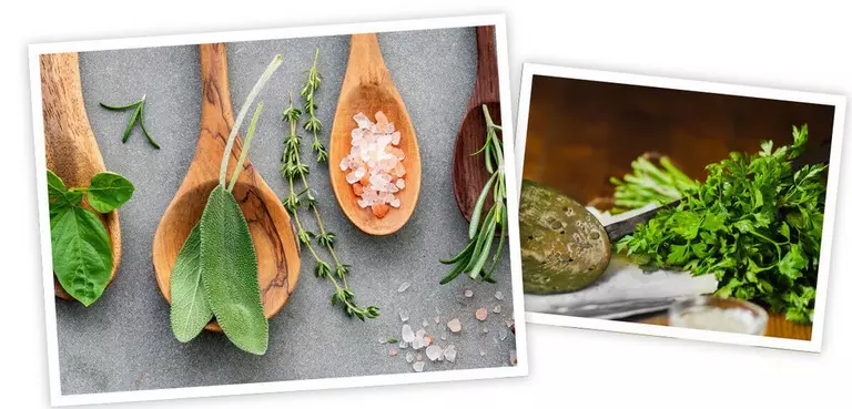 le_tw-herbs_some_herbs