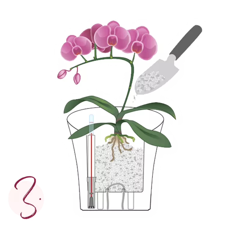 le_tw-orchideen_instruction_3