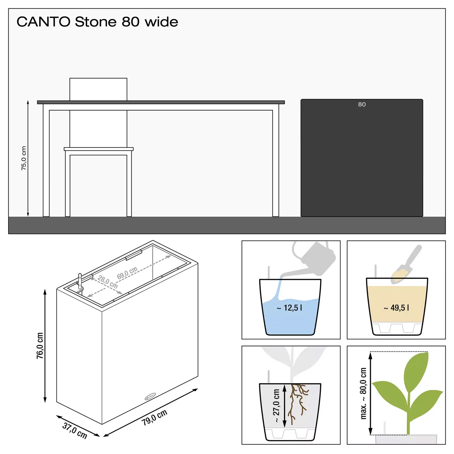 Canto 80 size