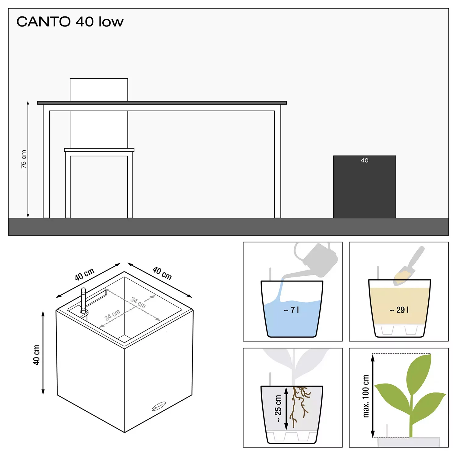 Canto Premium Low size