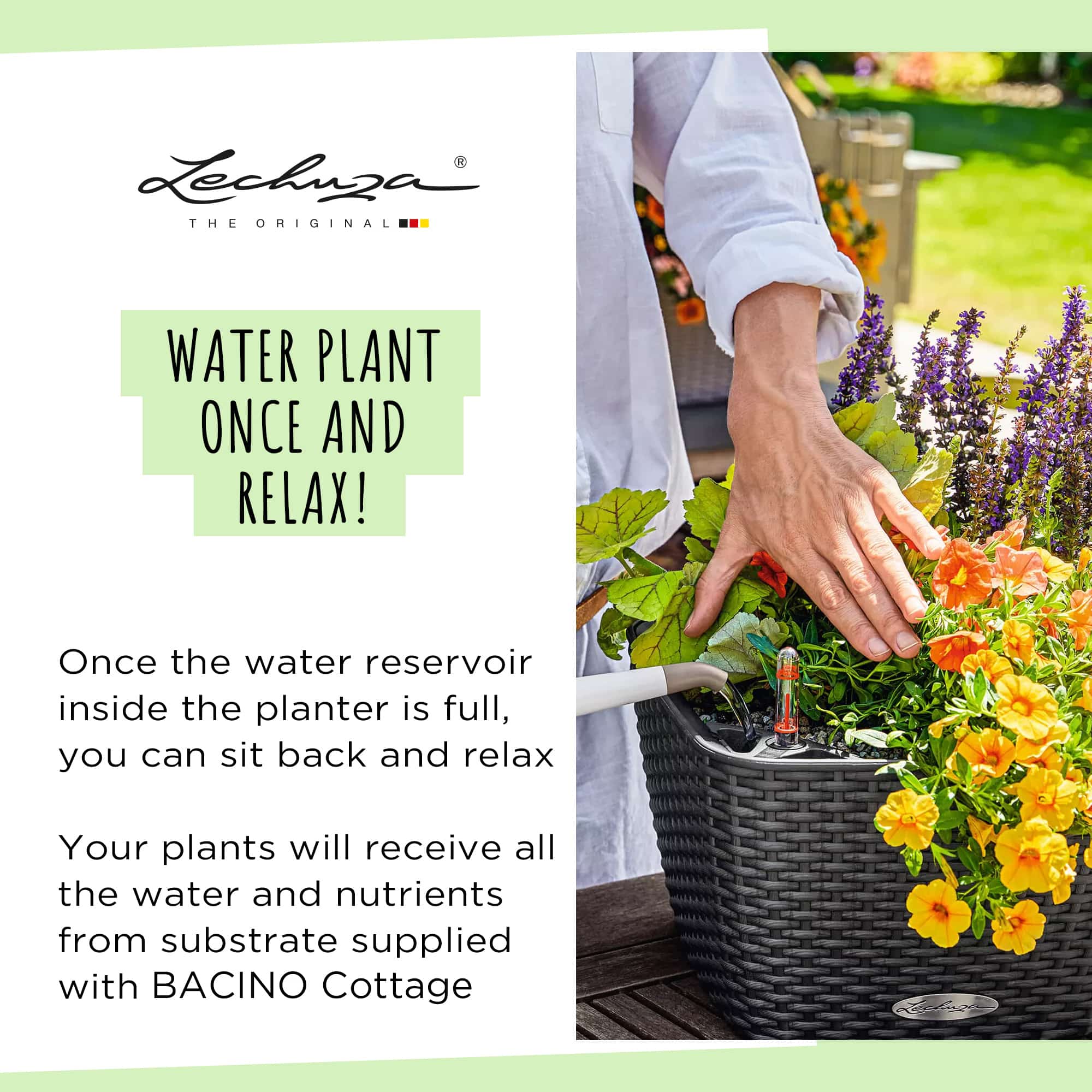 BACINO-Cottage_1