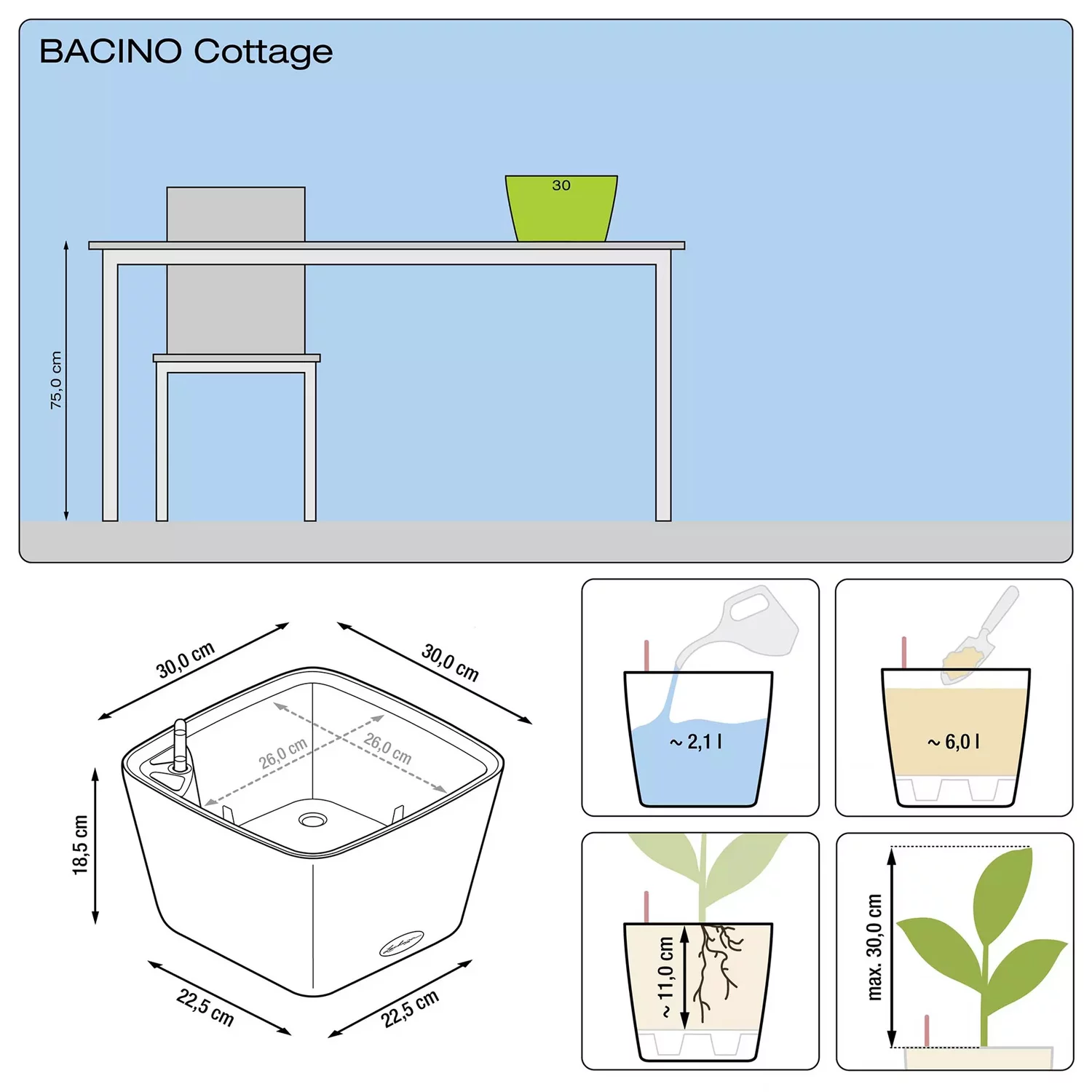 Bacico size