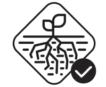 icon_structurally_stable
