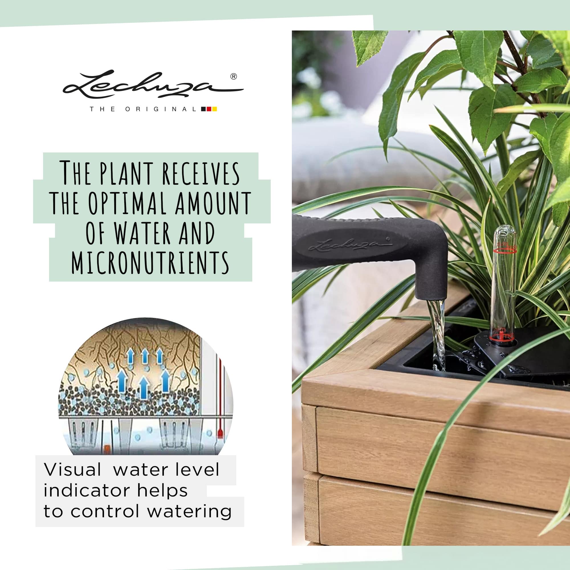 PALO-Natural-Wood-80-wide_4