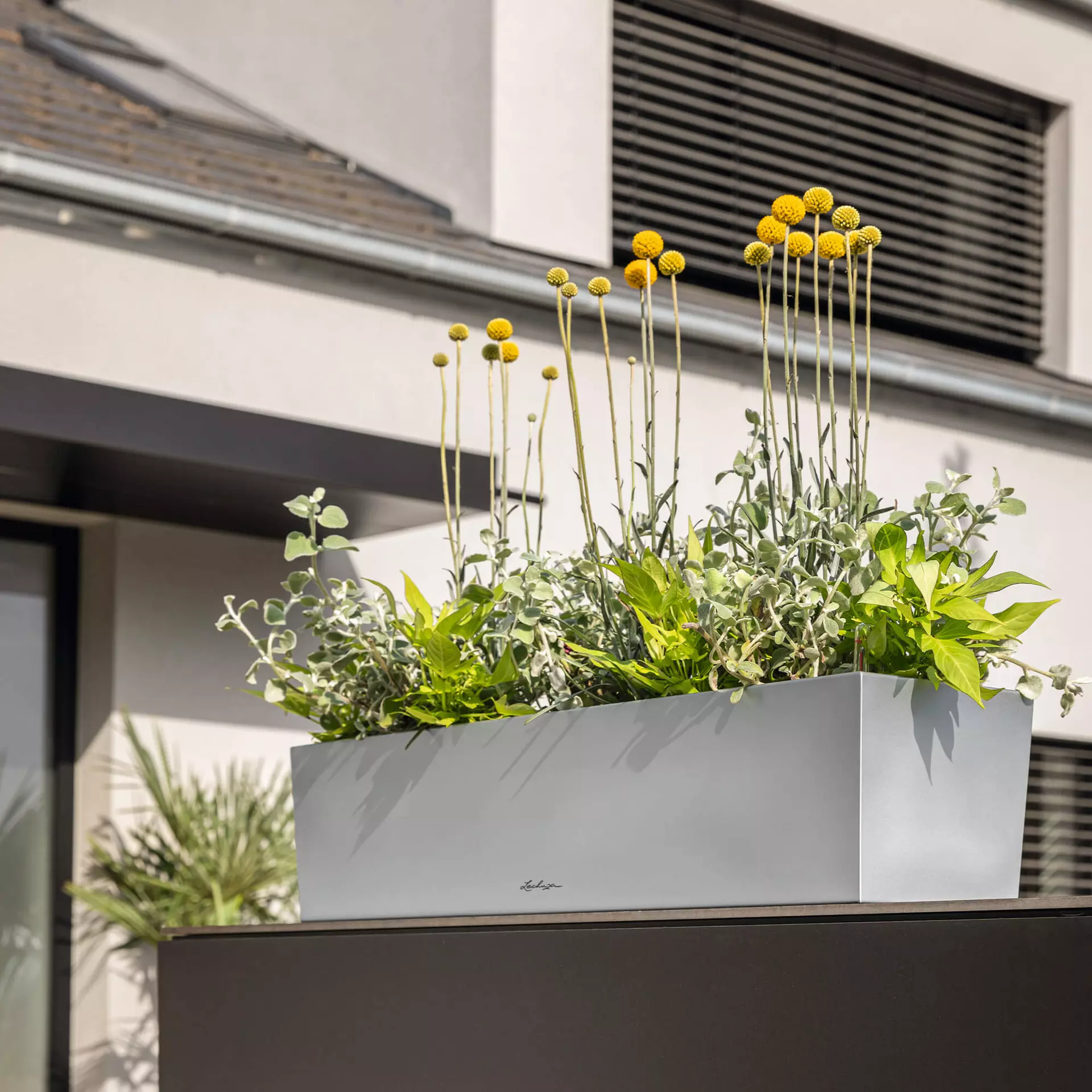 BALCONERA Steel 50 perlgrau (2)
