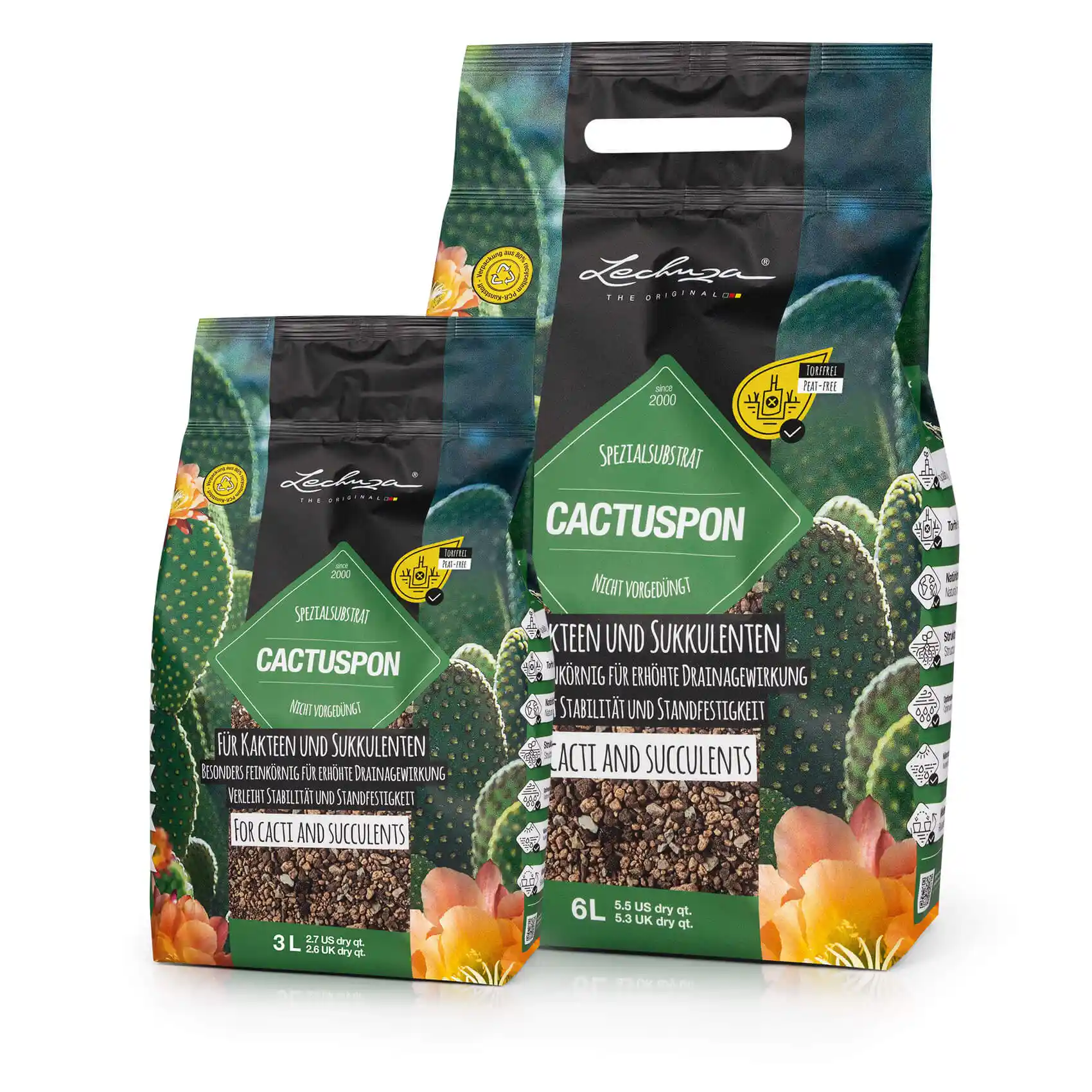 le_cactuspon_product_listingimage