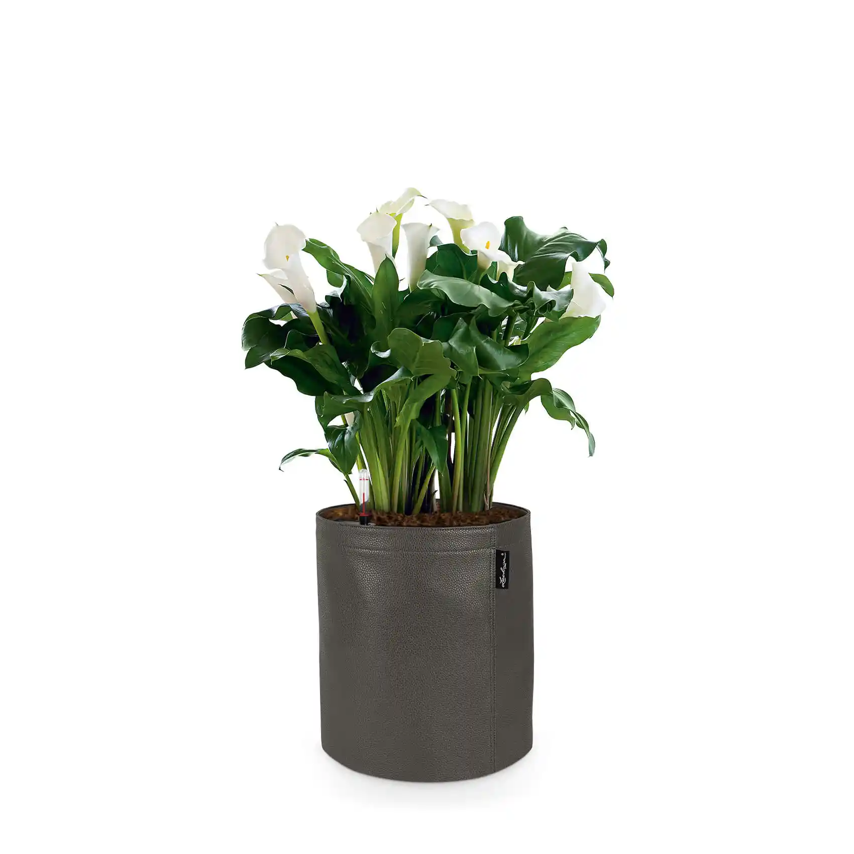 le_trendcover-leder_product_listingimage_trendcover-charcoal