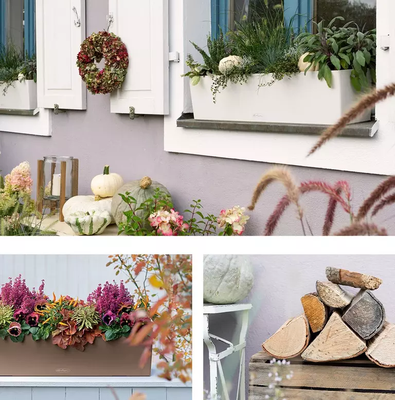 le_tw-autumn-garden_balconera_color_80