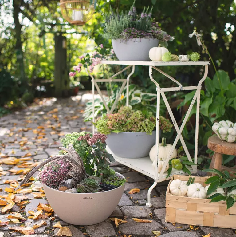 le_tw-autumn-garden_cubeto_color_30_40