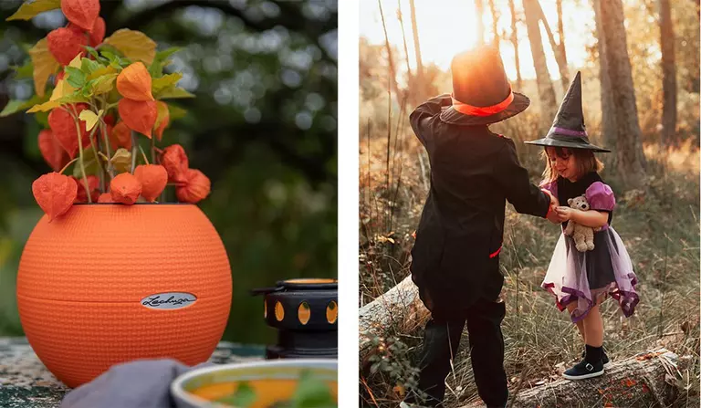 le_tw-autumn-garden_puro_color_20