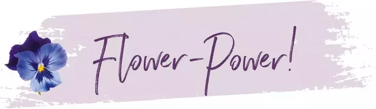 le_tw-blossoms-bakery_flowerpower