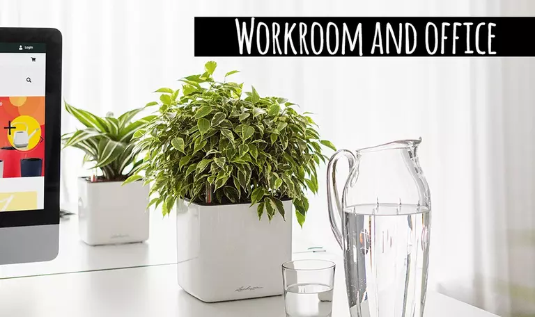 le_tw-perfect-climate_cube_glossy_office_1_en