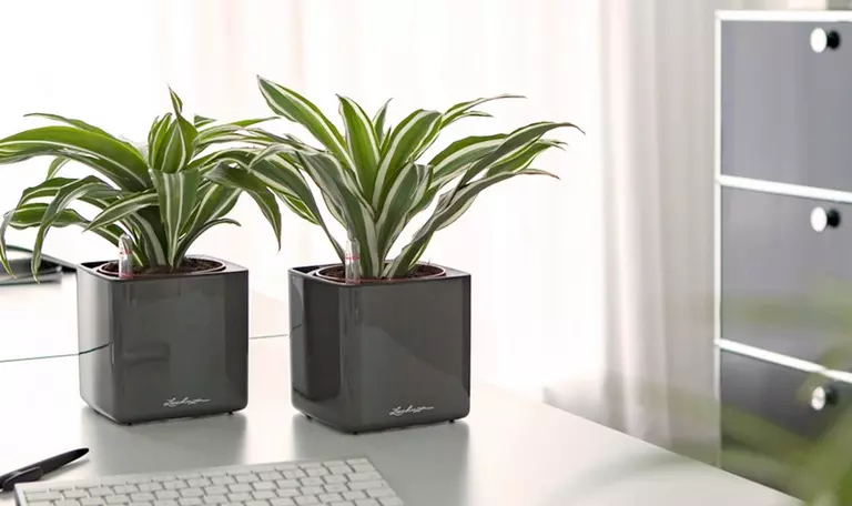 le_tw-perfect-climate_cube_glossy_office_2