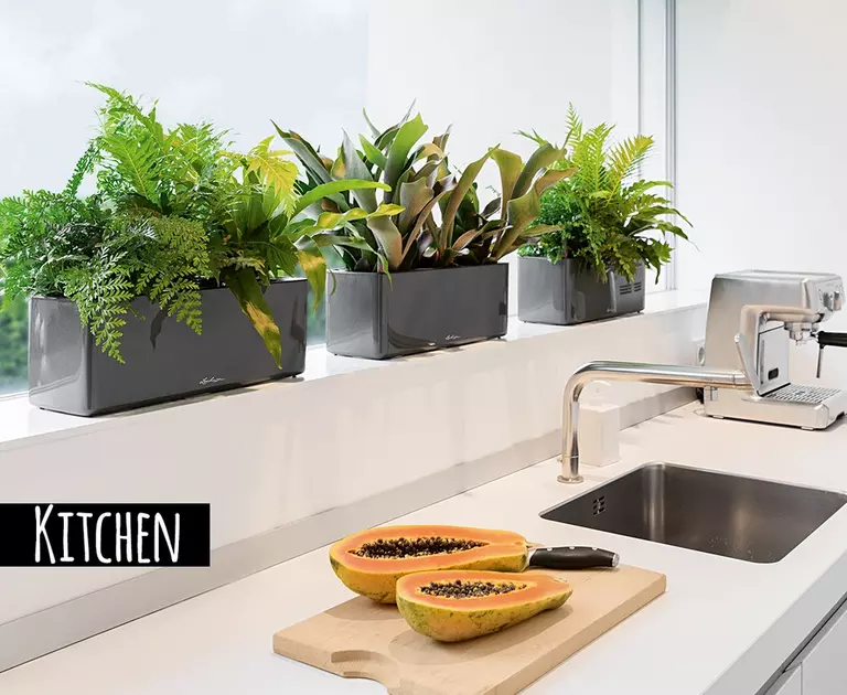 le_tw-perfect-climate_cube_glossy_triple_kitchen_en