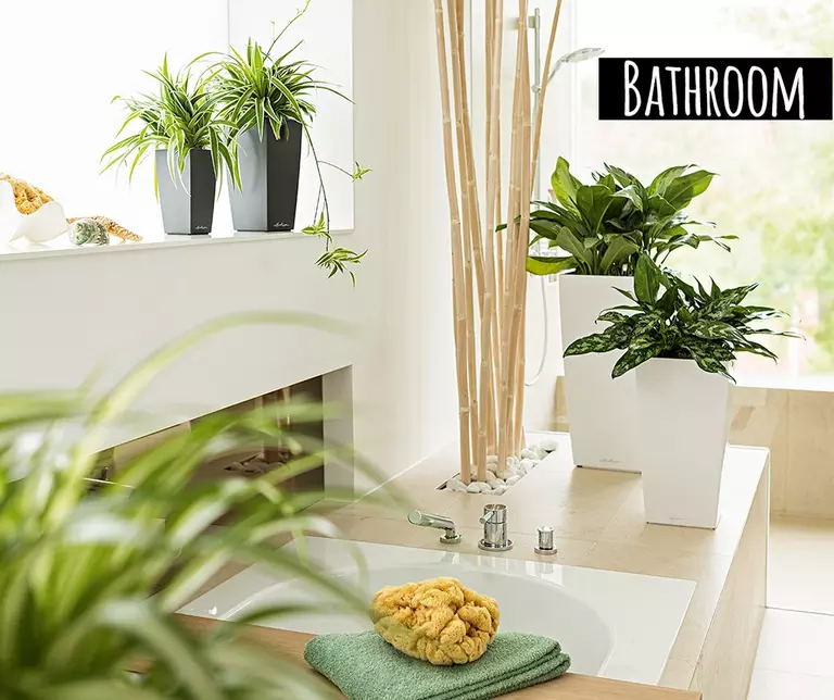le_tw-perfect-climate_cubicos_bathroom_en