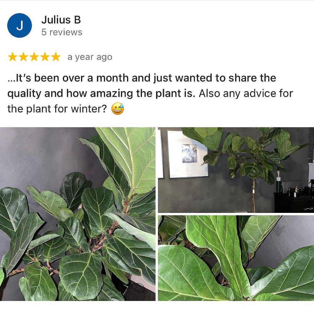 Review 1