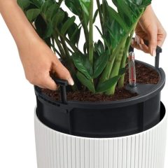 plant care lechuza